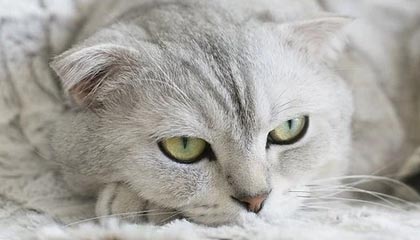 九游体育官网首页-粉丝创意：打造属于自己的赛车装饰，赛车装饰简笔画