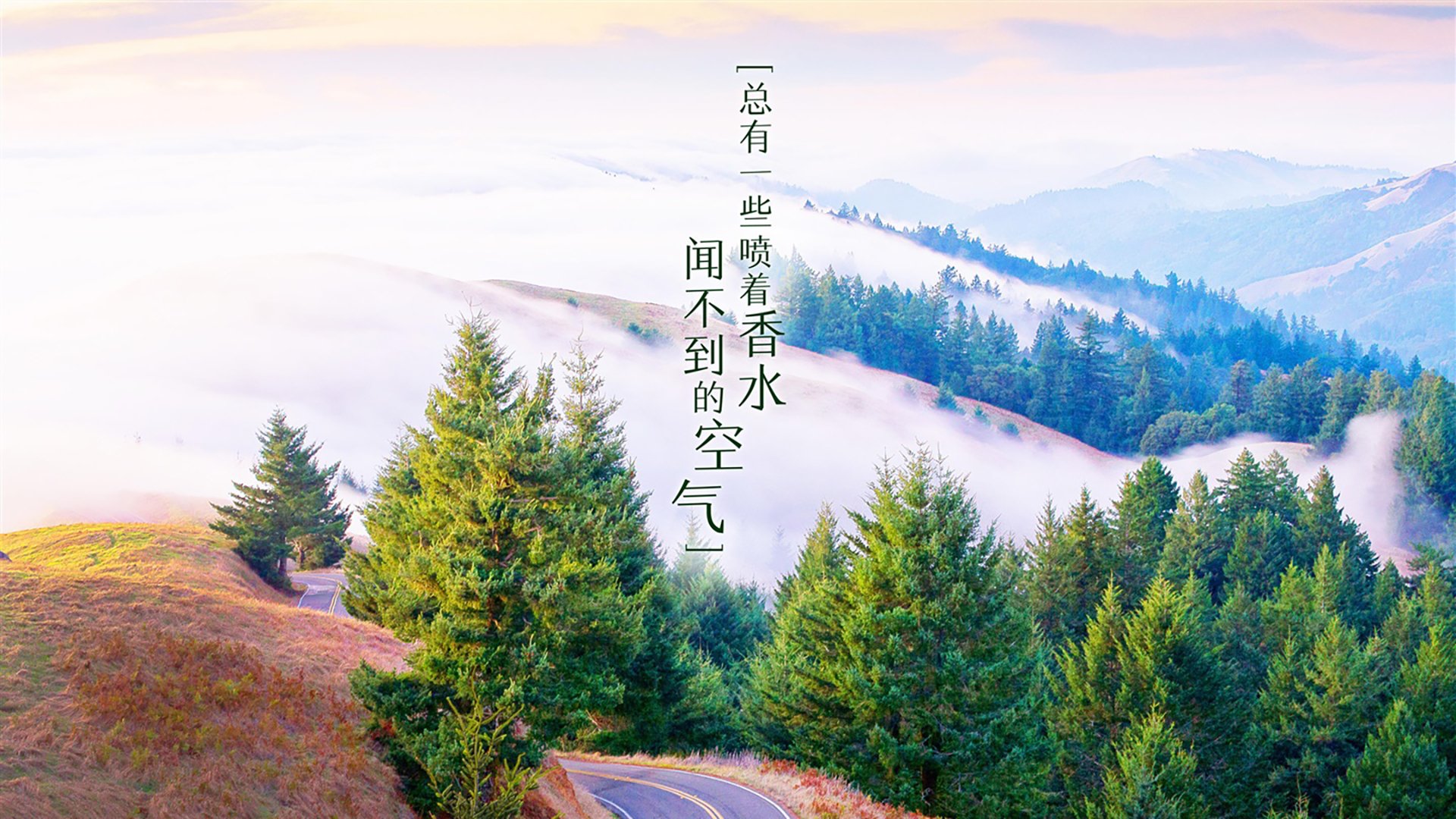 九游登录入口-世界水上摩托冠军赛，极速漂移展现极限速度，水上摩托比赛