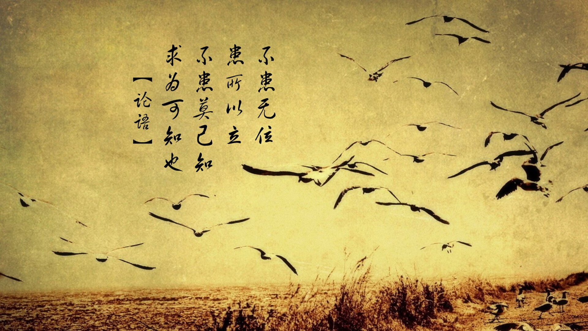 史上最令人震惊的逆转：那些“不可思议”的奇迹战役，不可思议的奇迹英文