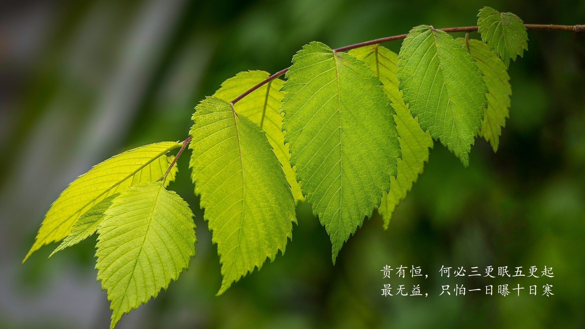 特色足球运动载体“创新空间”在全国百余座城市布局完善，足球创新设计