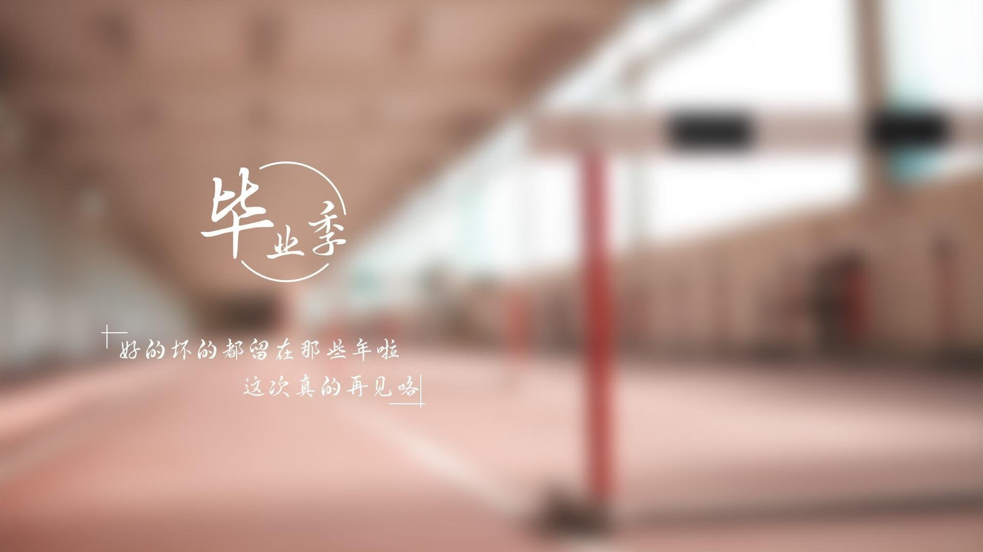 多特蒙德陷入困境，球队展开自救计划重振雄风，多特蒙德主力队员名单