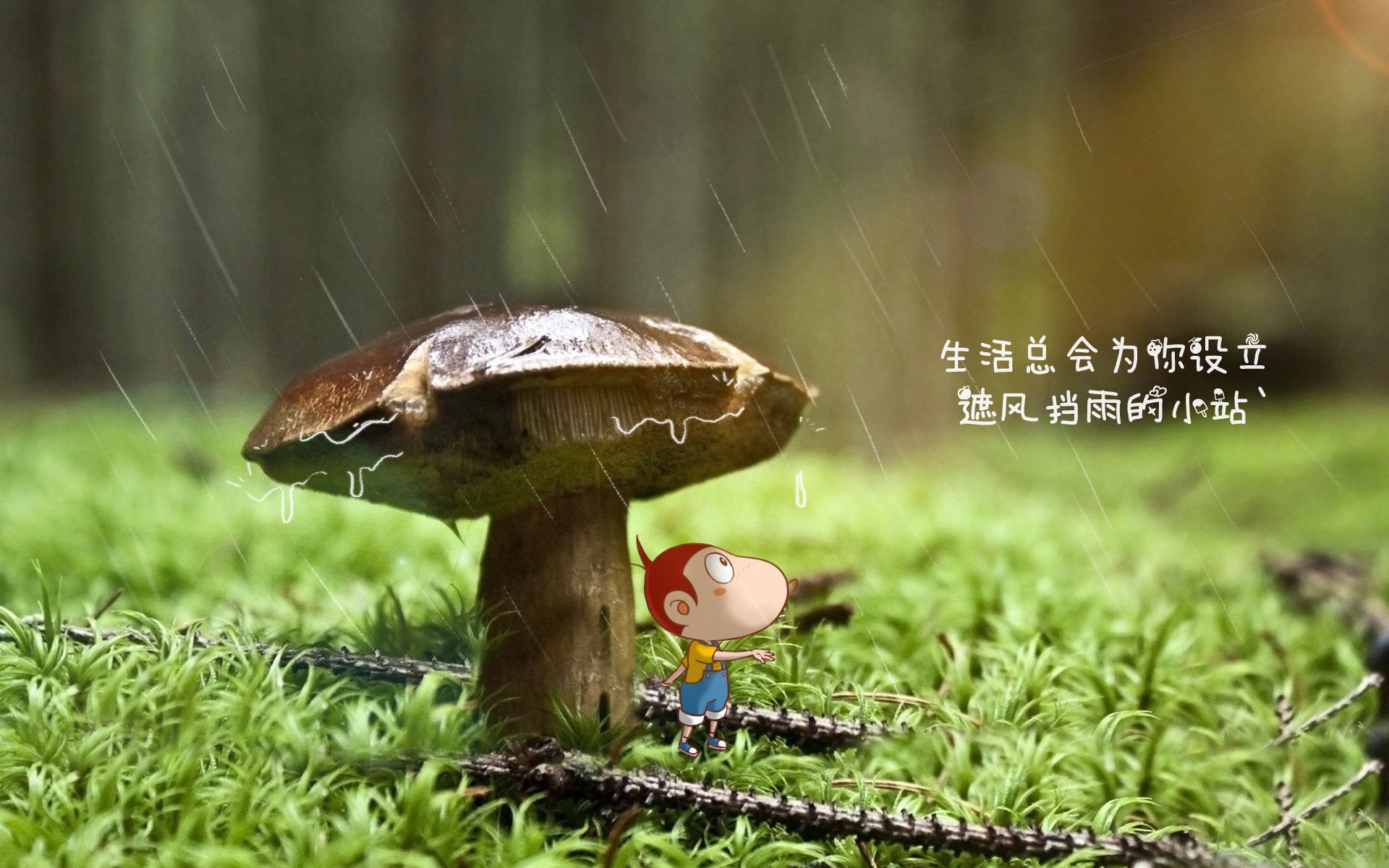 森林狼逆转凯尔特人，东部决赛中爱德华兹砍下47分，凯尔特人爱德华兹模板