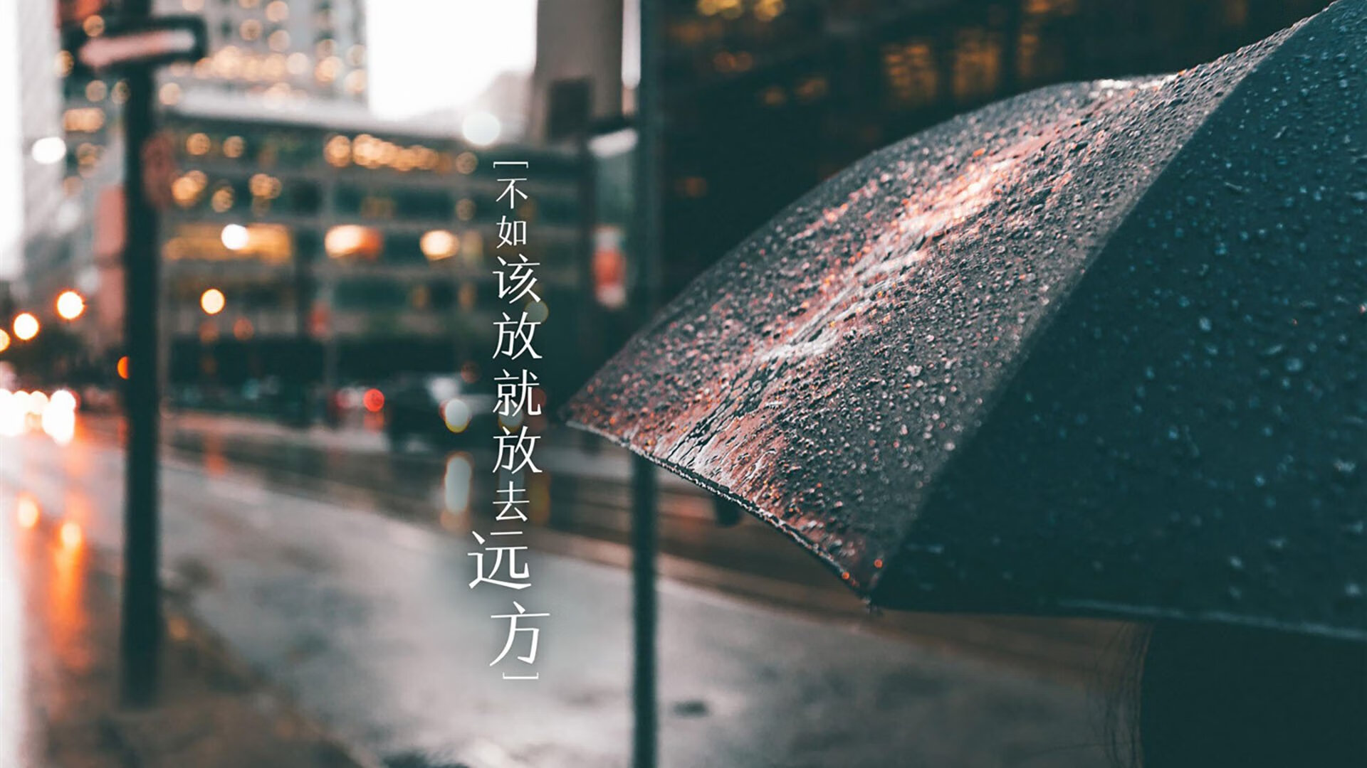 -混合泳赛事波兰全面应战，混合泳比赛