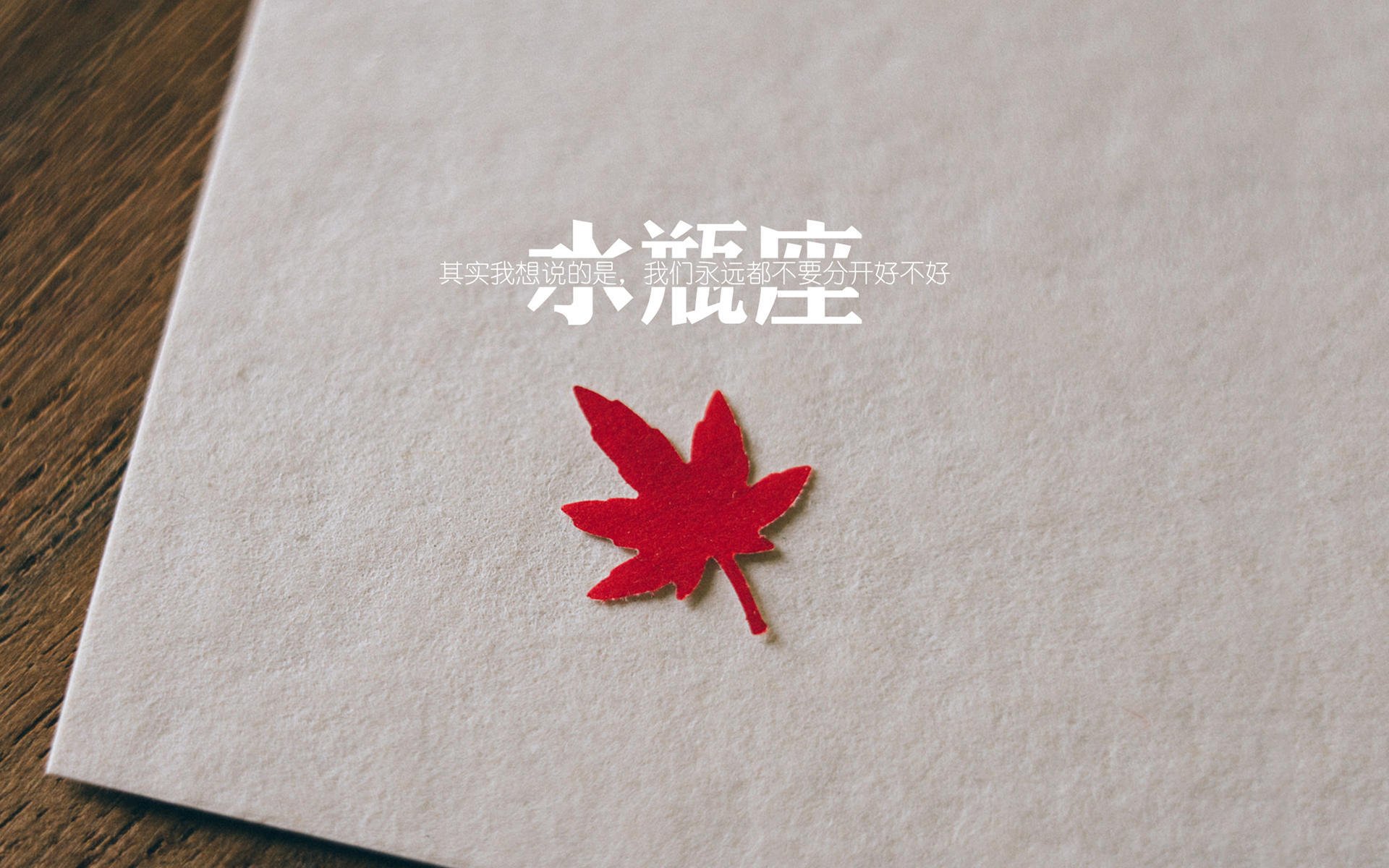 九游APP官网-萨默·麦金托什展现新生代自由泳实力,麦金托什游泳