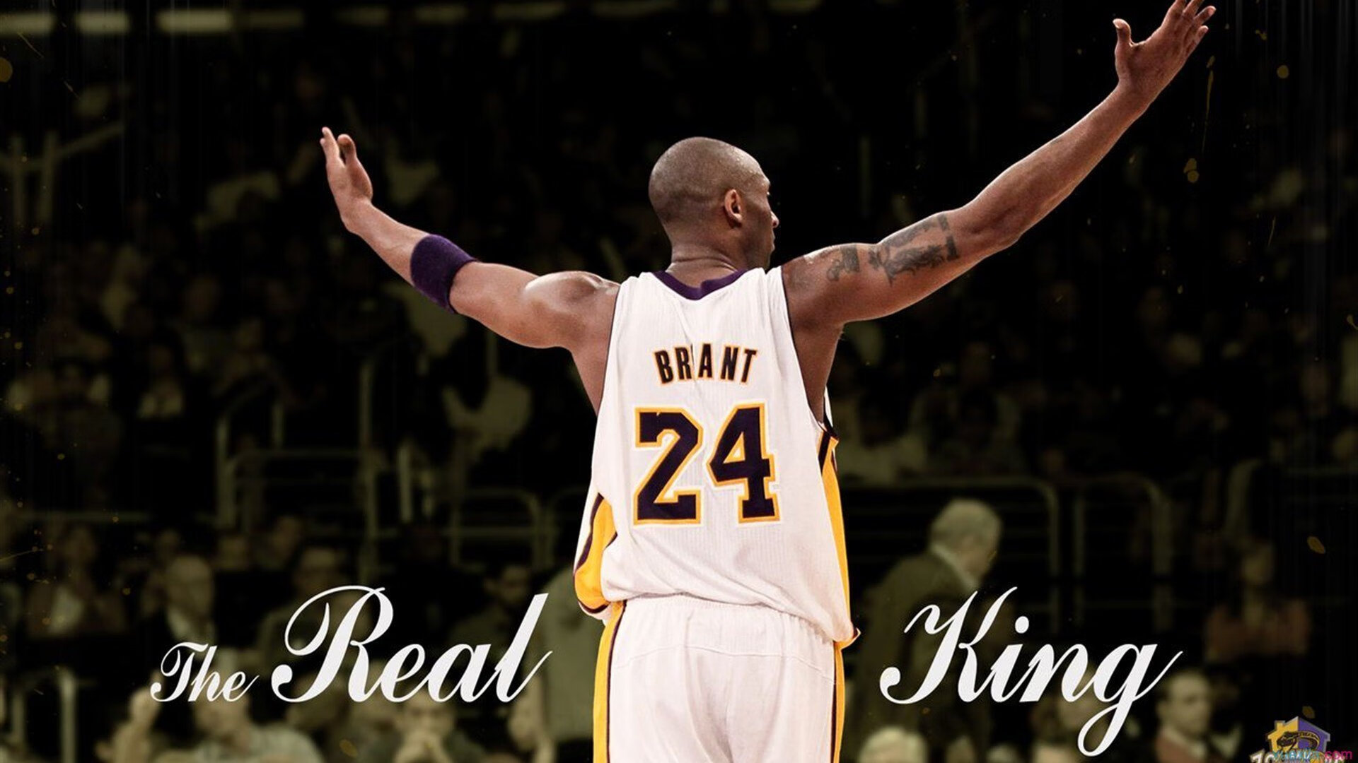 走进青训营:未来明星的养成之路,青训营怎么训练的